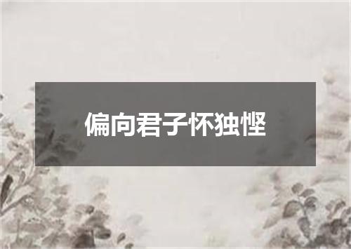 偏向君子怀独悭