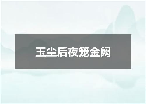 玉尘后夜笼金阙