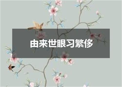 由来世眼习繁侈