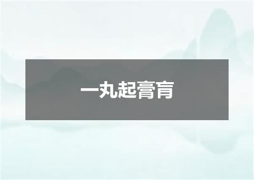 一丸起膏肓