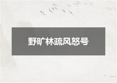 野旷林疏风怒号
