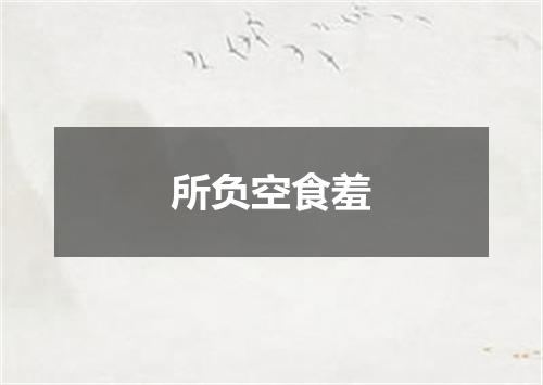 所负空食羞