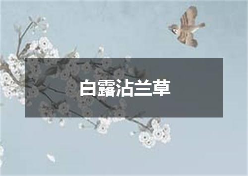 白露沾兰草
