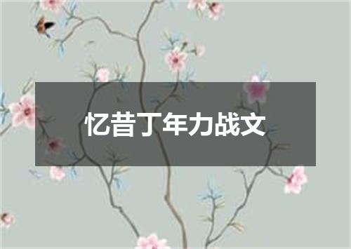 忆昔丁年力战文