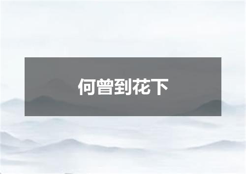 何曾到花下