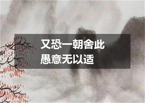 又恐一朝舍此愚意无以适