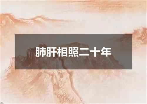 肺肝相照二十年