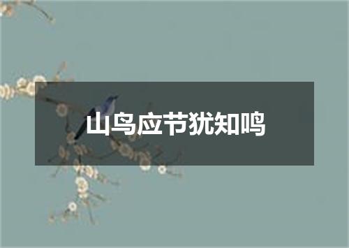 山鸟应节犹知鸣