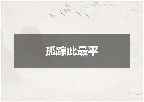 孤踪此最平