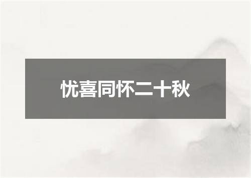 忧喜同怀二十秋