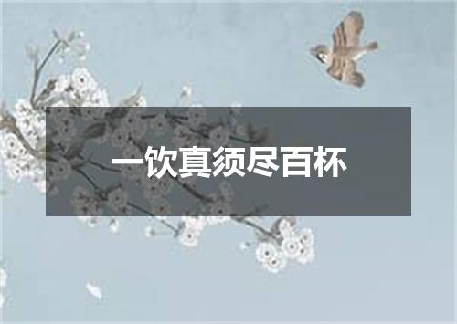 一饮真须尽百杯