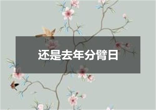 还是去年分臂日