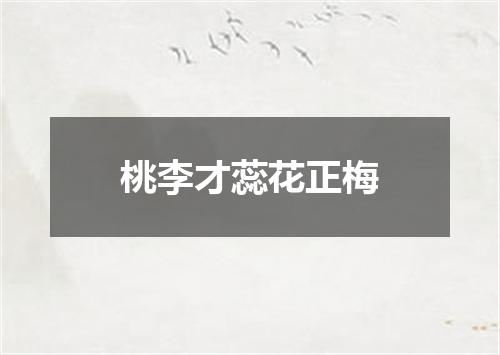 桃李才蕊花正梅