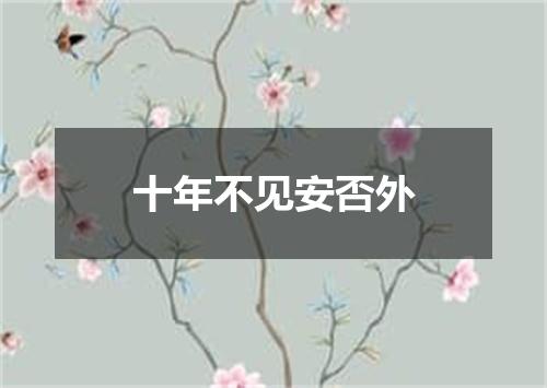 十年不见安否外