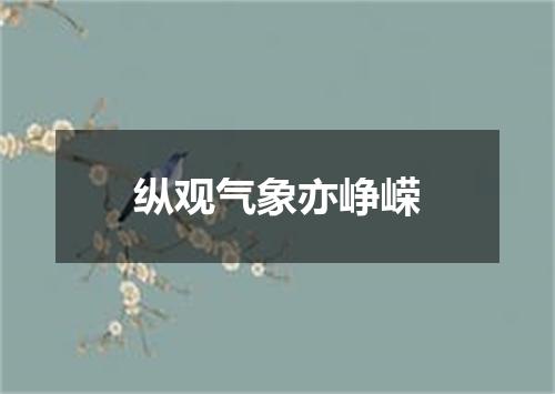 纵观气象亦峥嵘