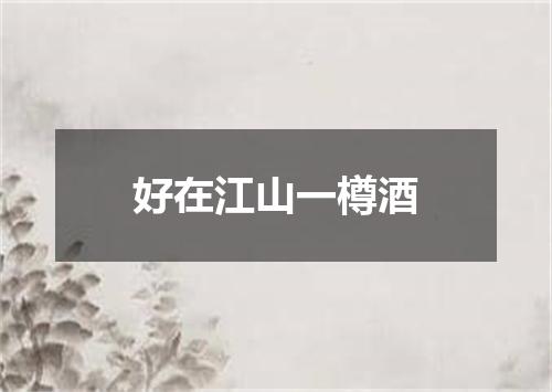 好在江山一樽酒