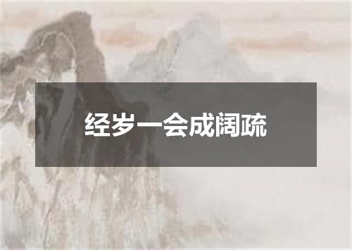 经岁一会成阔疏