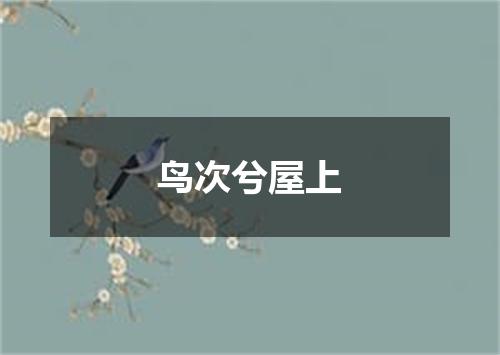 鸟次兮屋上