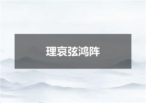理哀弦鸿阵