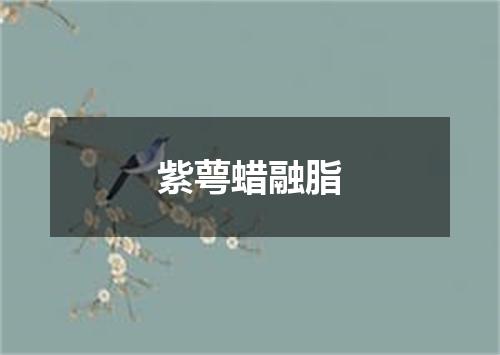 紫萼蜡融脂