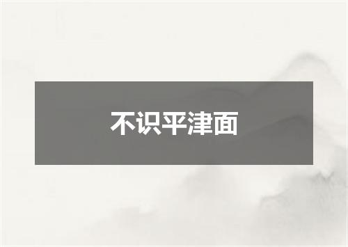 不识平津面