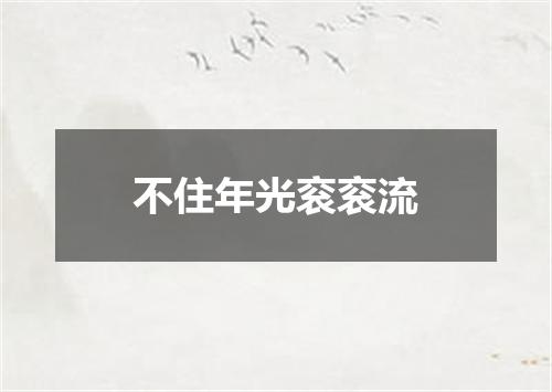 不住年光衮衮流