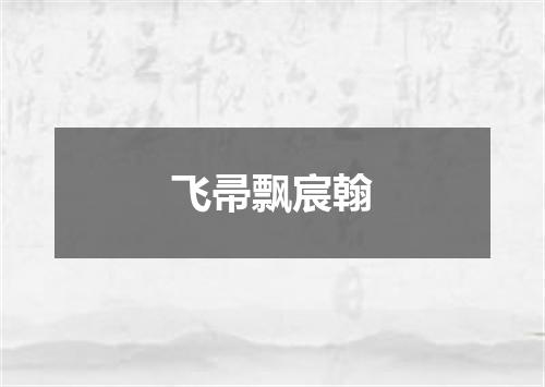 飞帚飘宸翰