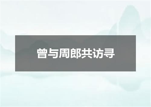 曾与周郎共访寻