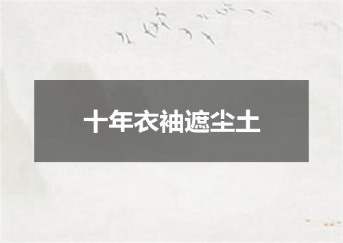 十年衣袖遮尘土