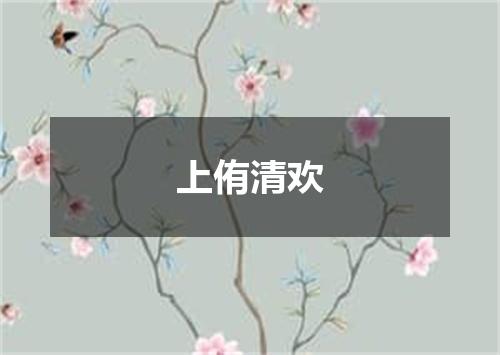 上侑清欢