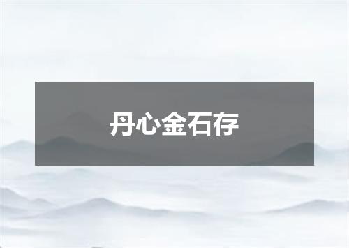 丹心金石存