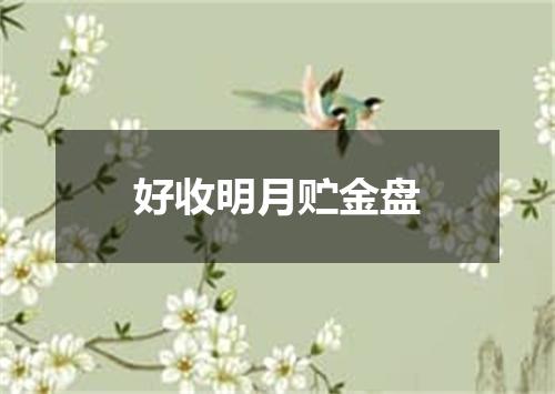 好收明月贮金盘