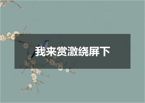 我来赏激绕屏下
