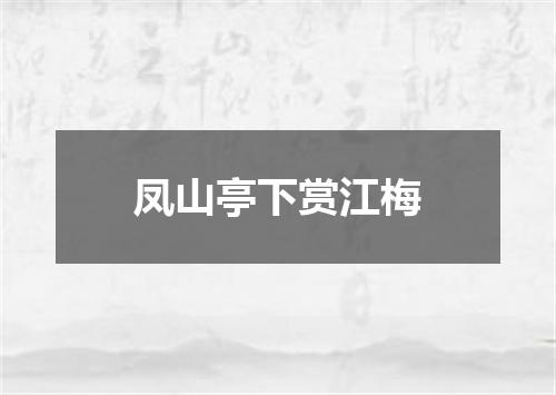 凤山亭下赏江梅