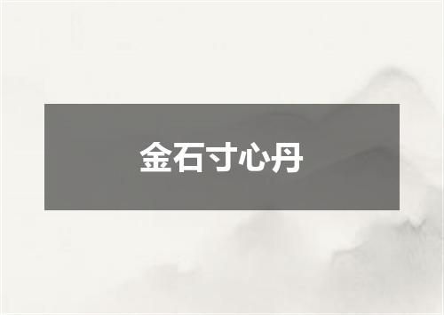金石寸心丹