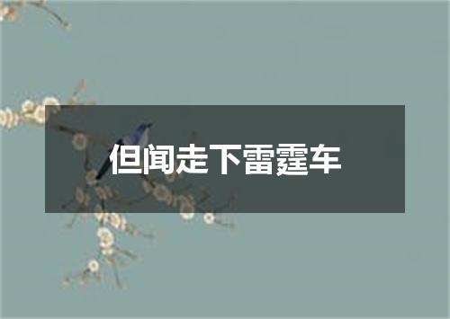 但闻走下雷霆车