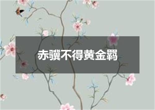 赤骥不得黄金羁