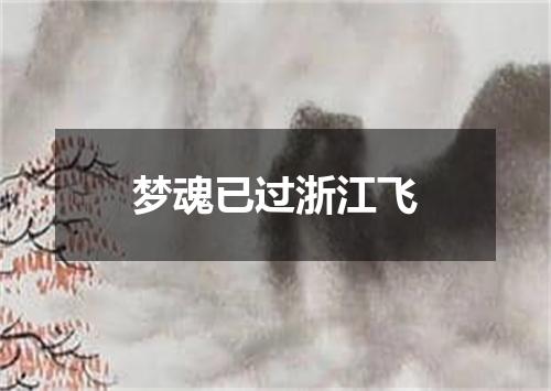 梦魂已过浙江飞