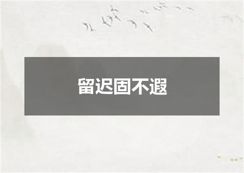 留迟固不遐