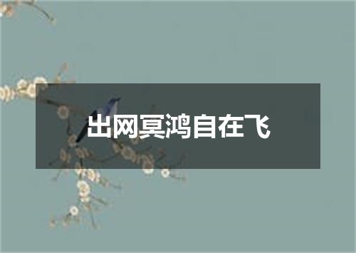 出网冥鸿自在飞