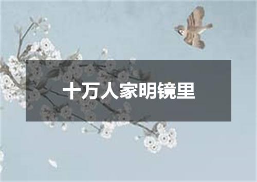 十万人家明镜里