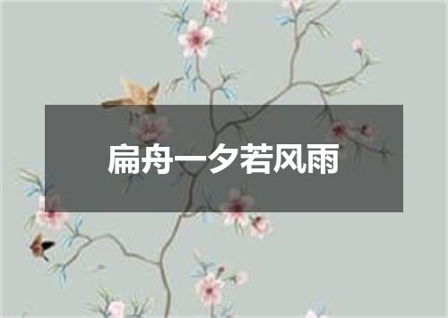 扁舟一夕若风雨
