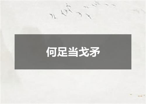 何足当戈矛