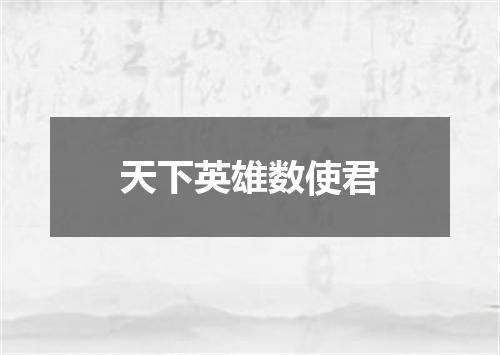 天下英雄数使君