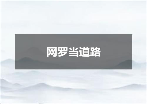 网罗当道路