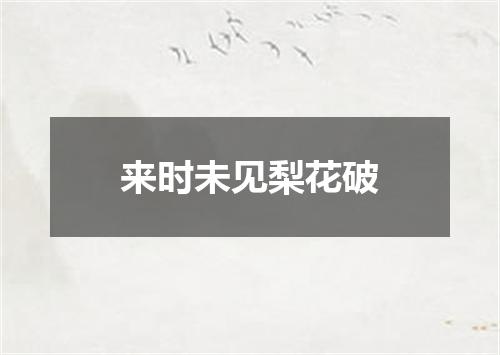 来时未见梨花破