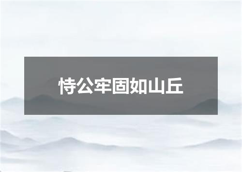 恃公牢固如山丘