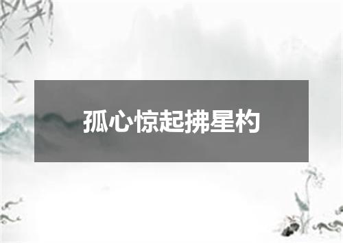 孤心惊起拂星杓