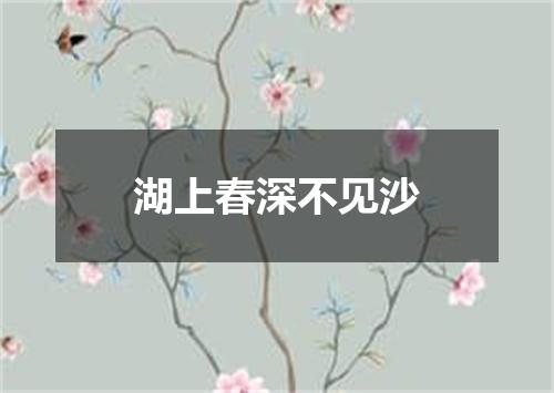 湖上春深不见沙