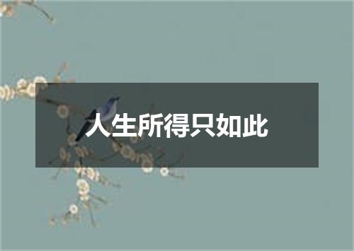 人生所得只如此